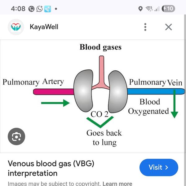 inr and prothrombin ratio asse