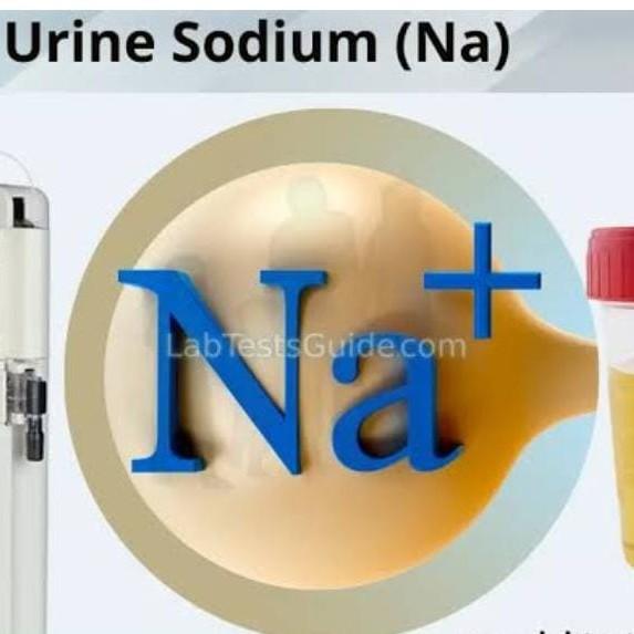 regulating sodium