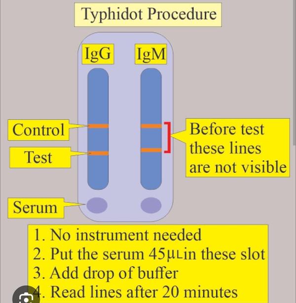 blood test for allergen detect