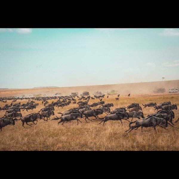 northern tanzania
