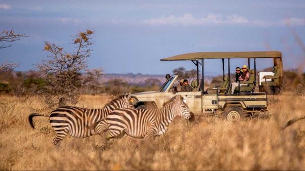 best safari places in africa