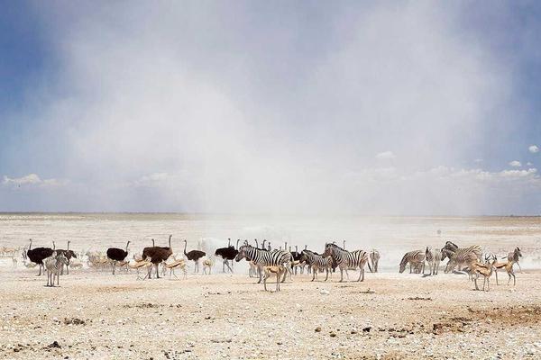 renowned wildlife reserve