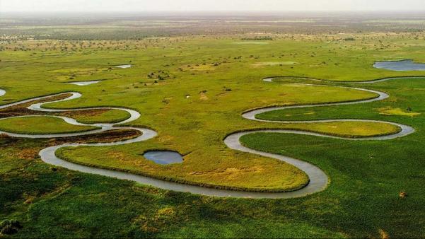 botswana wildlife safari tours