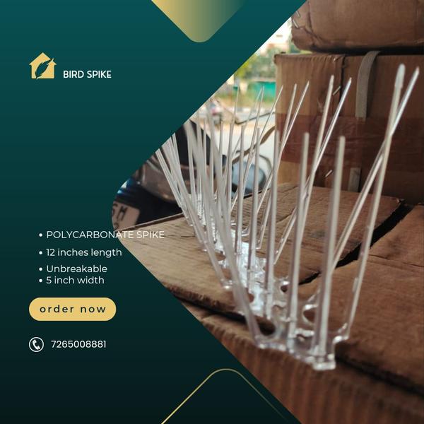 signage bird deterrent accesso