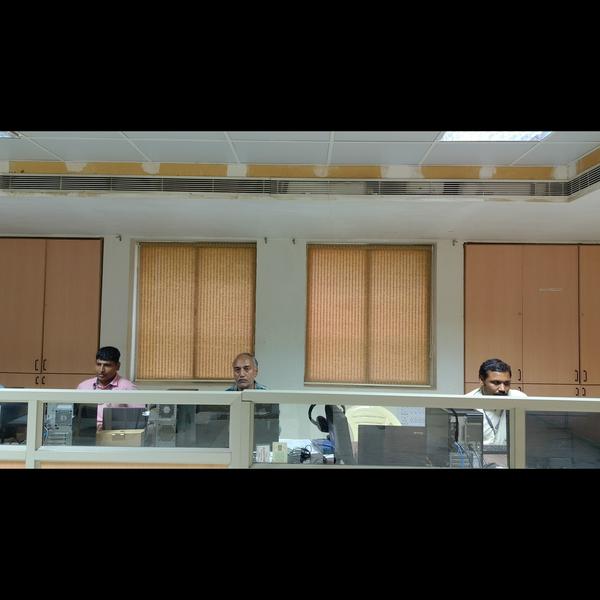 stylish window coverings