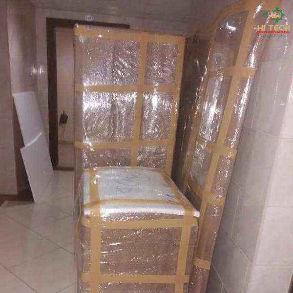 professional moving services i