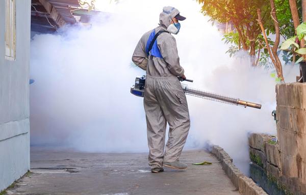 dengue prevention mosquito fog