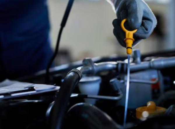 engine oil and filter check