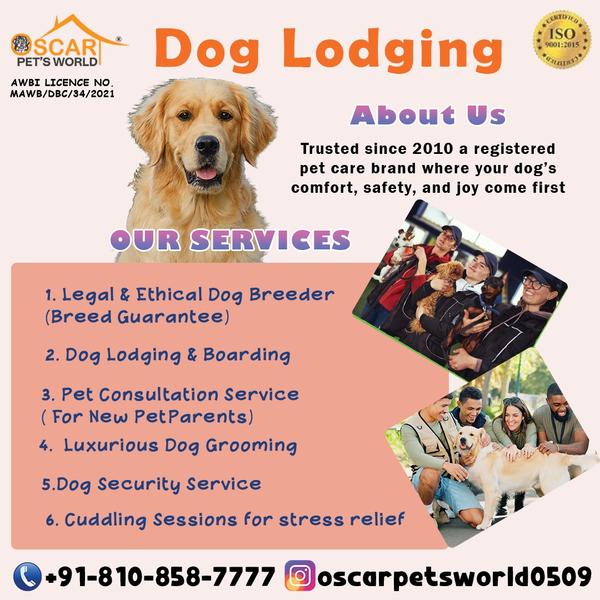 dog boarding facilities in kav