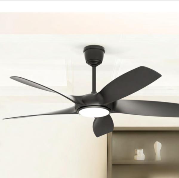 designer lights showroom indor