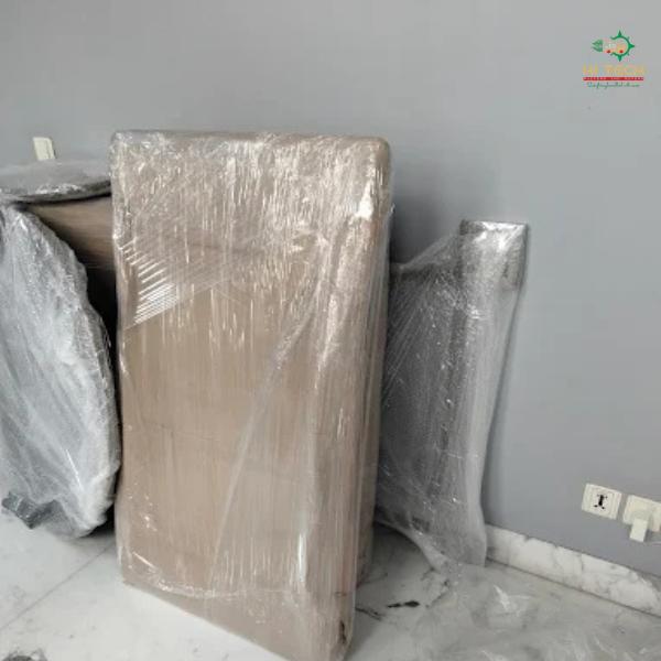 professional packers and mover