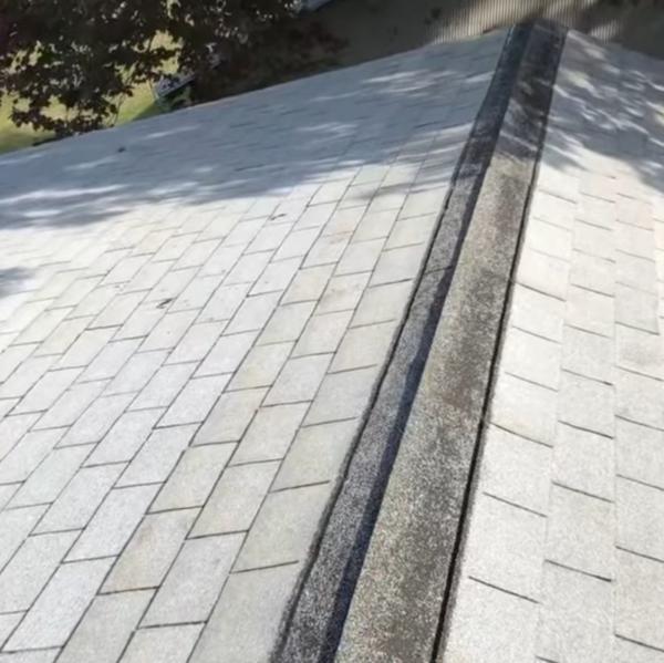 roof and bathroom waterproofin