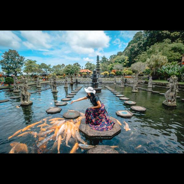 lotus palace