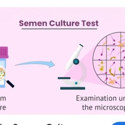 male fertility dna damage asse