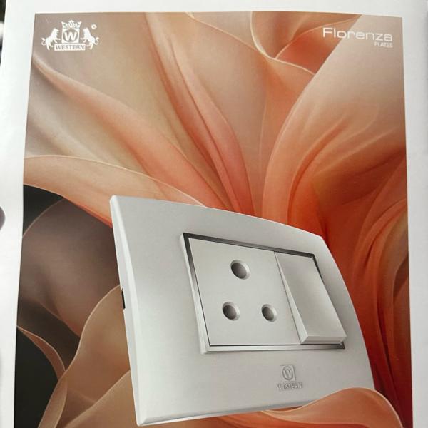 western modular switches in in