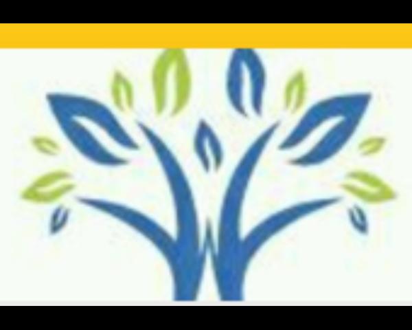 sofa cleaning companies in mum