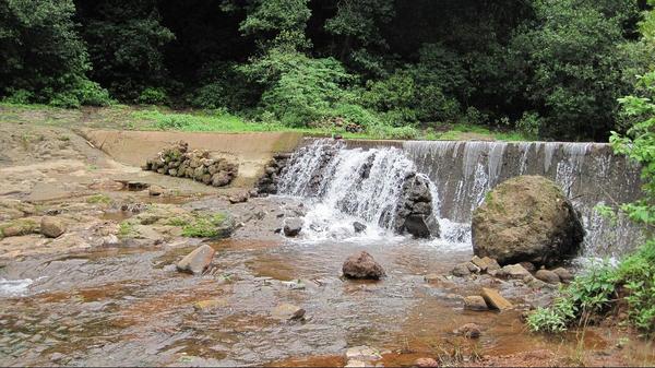 koyna river