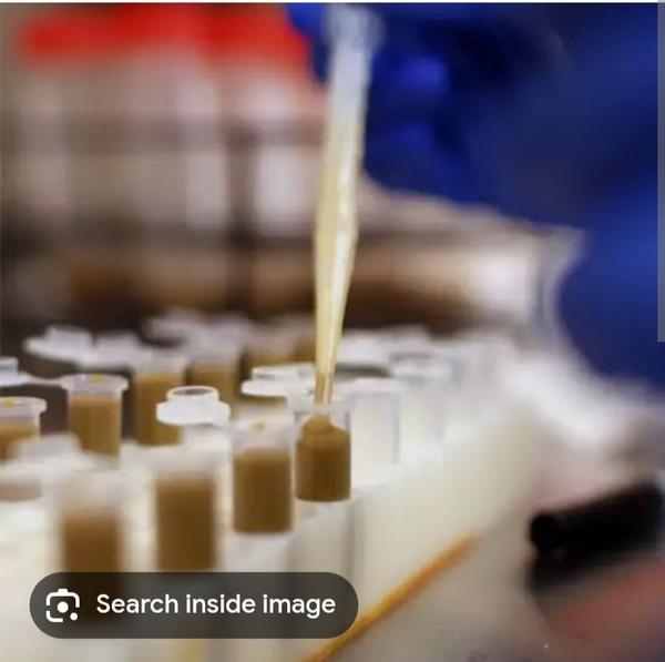 stool hanging drop test for ch