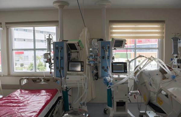 iv antibiotic therapy in ahmed