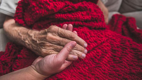 seniors reach