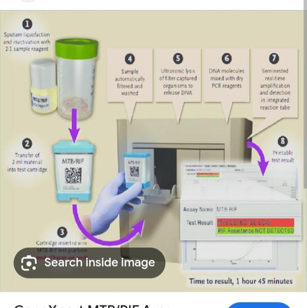 rapid plasma reagin test advan