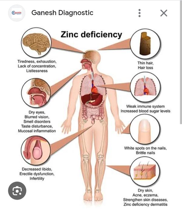 hormone regulation of bodily f
