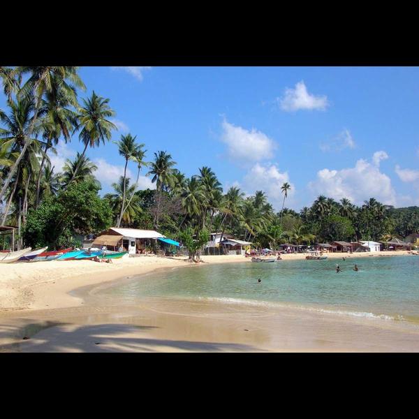 visit cenderwasih bay coral re