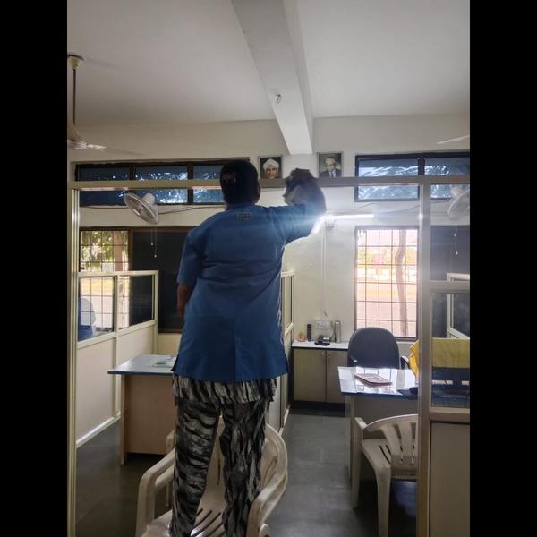 professional housekeeping and