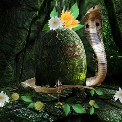 serpent gods prosperity protec