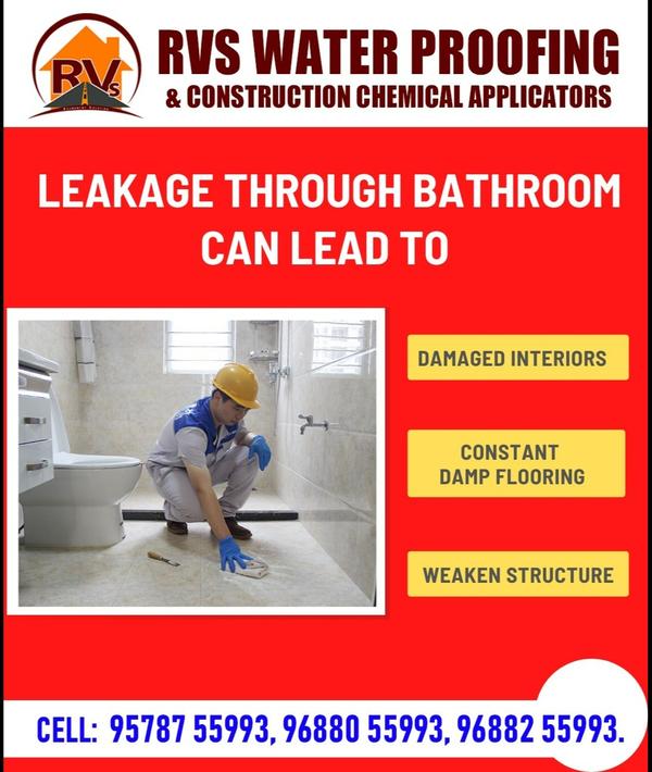 expert waterproofing and damp
