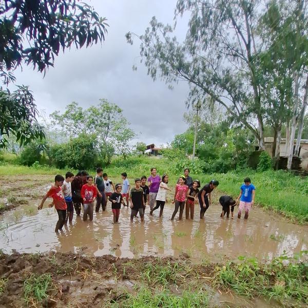 community focused rice farming