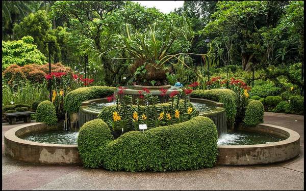 flowering plants