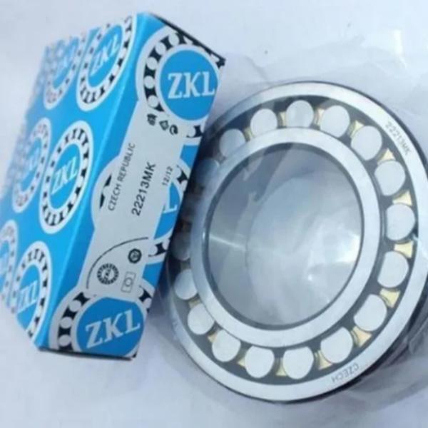 ZKL Bearing is a renowned name in the Asian Bearin