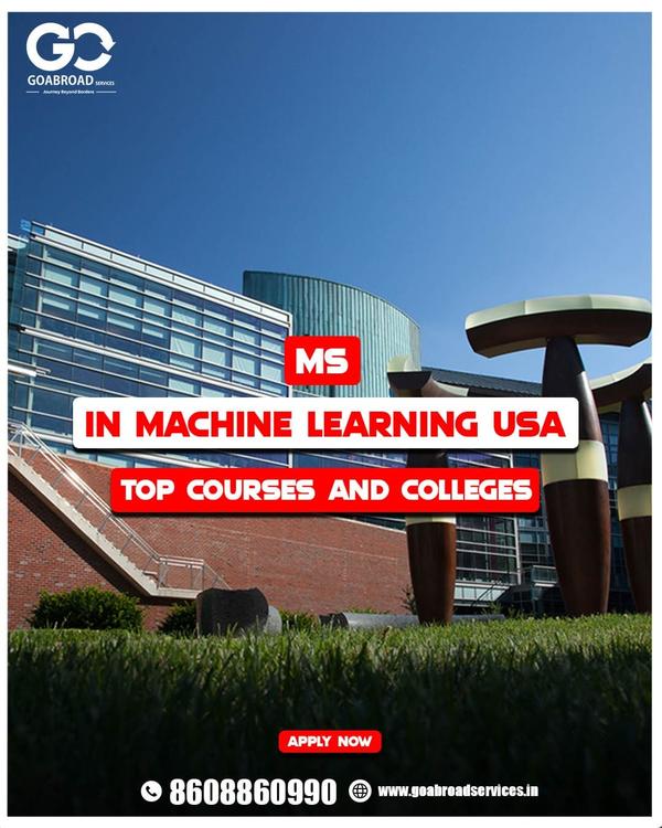 top undergraduate courses in d