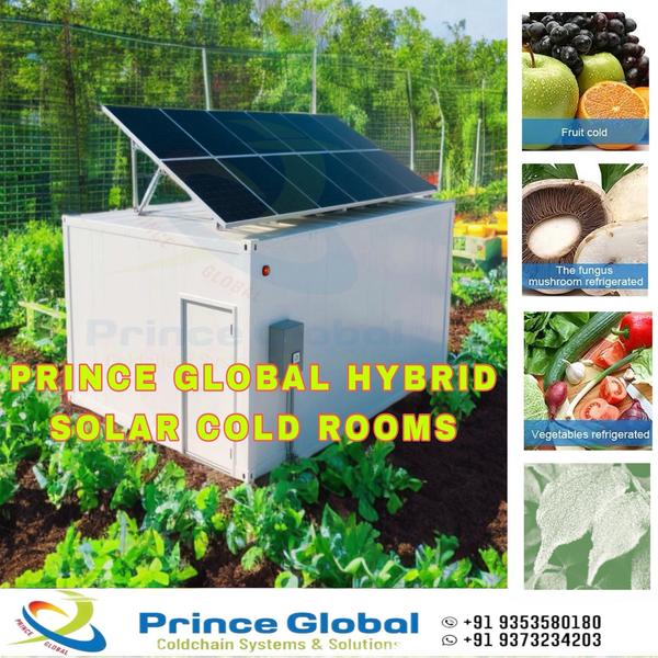 cost effective solar cold room