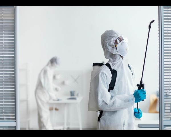 prevent recurring infestations