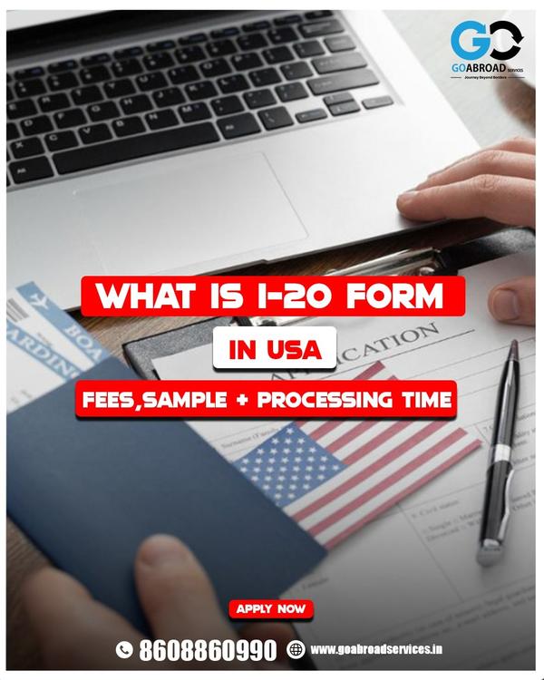 application process for opt an