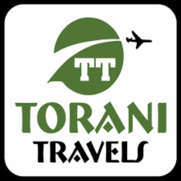 domestic travel solutions ahme