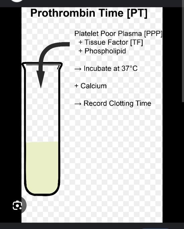 inr and prothrombin ratio asse