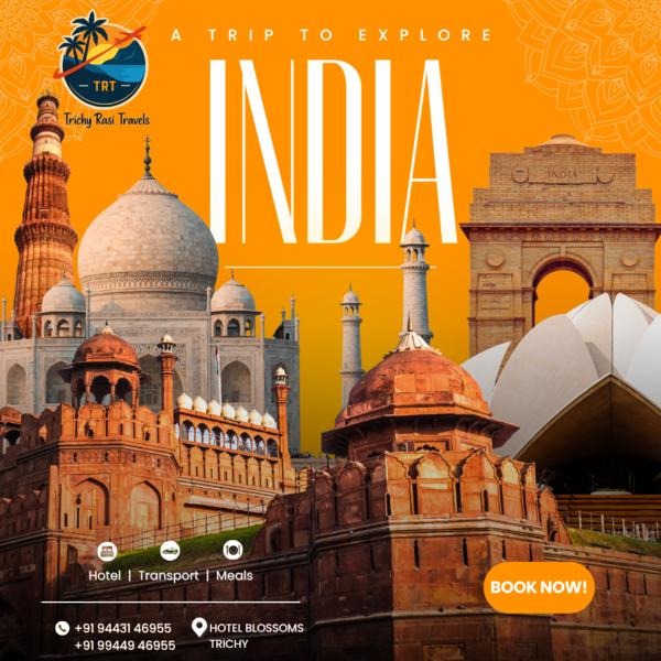 domestic tour packages from tr