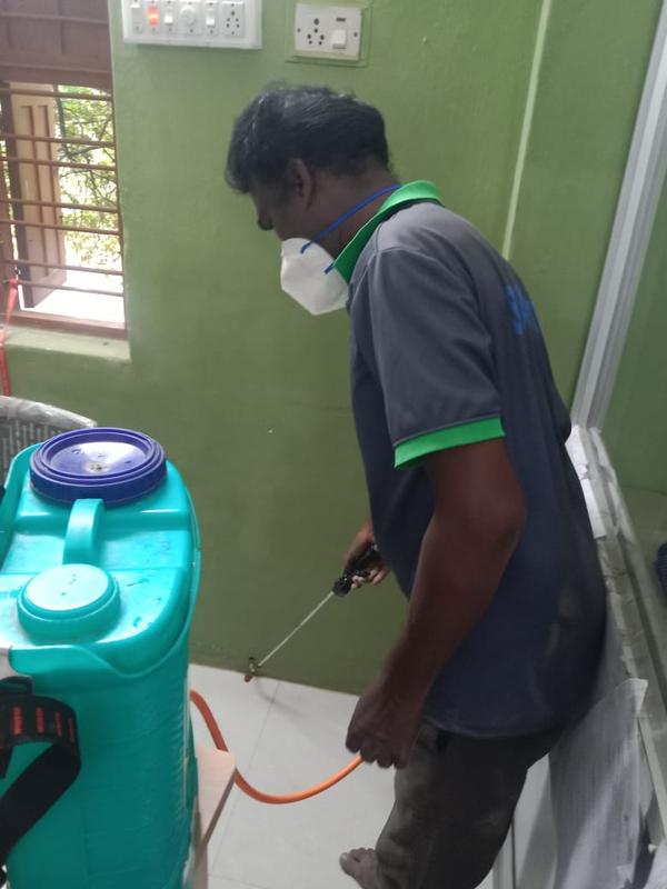 Termite control service in Coi