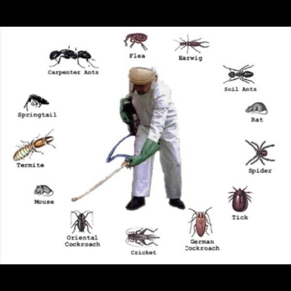 commercial and residential pes