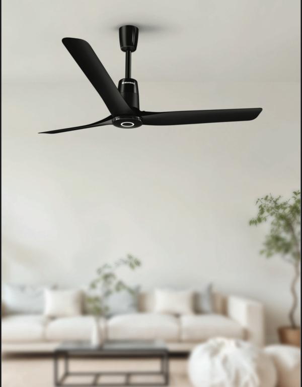 long lasting performance ceili