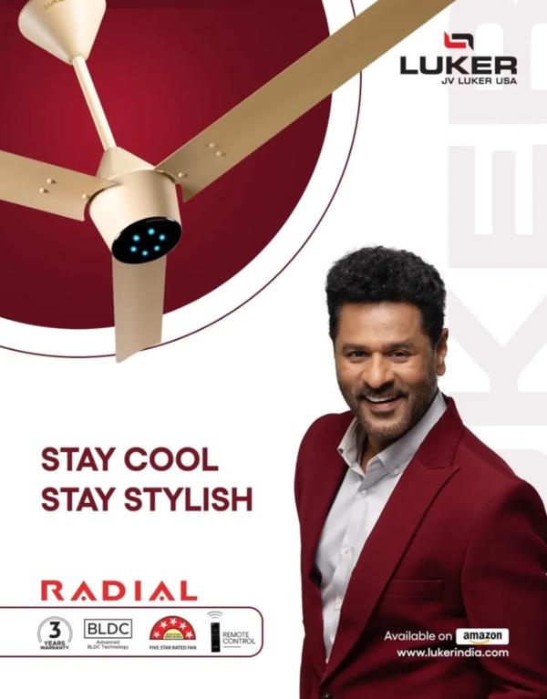 long lasting performance ceili