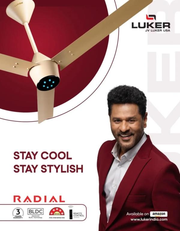 stylish minimalistic ceiling d