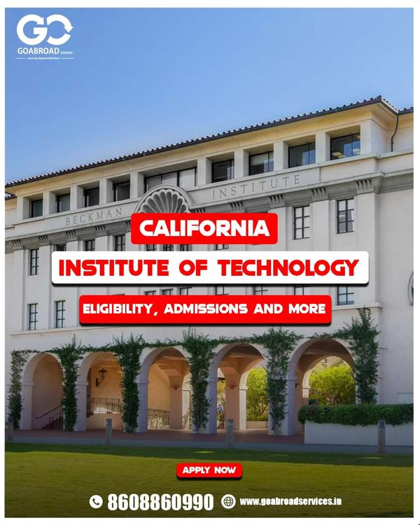 stem extension eligibility