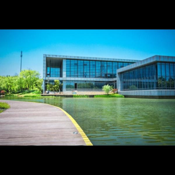 develop malls multiplexes chen
