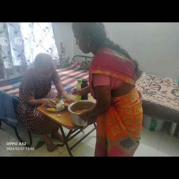 professional senior care servi