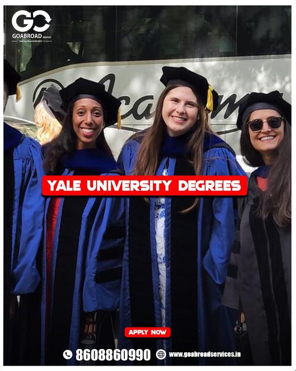 yale university history and ar