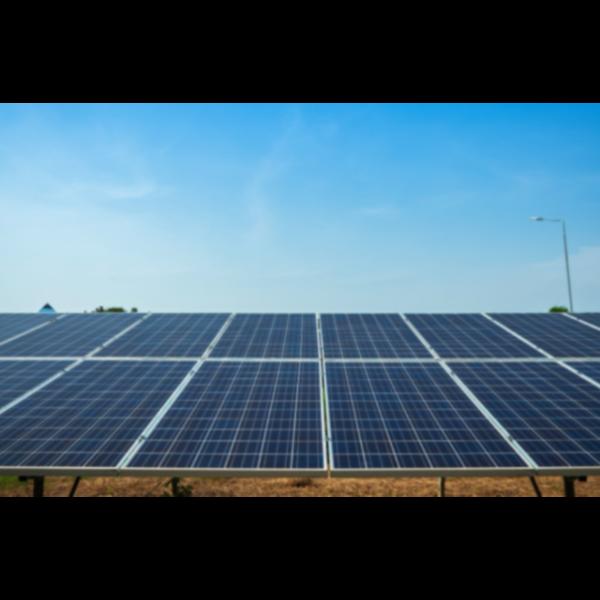 In Dahod, businesses are recog